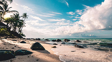 忍不住又翻了一遍，蘑菇视频app下载，越到后面越停不下来，关键点其实藏得很深