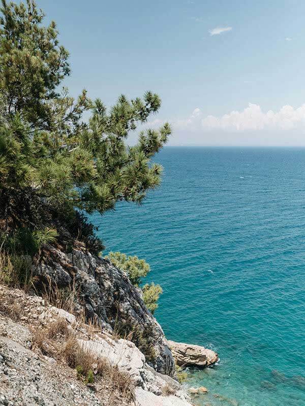 越看越觉得不对劲，蘑菇视频ios相关搜索让不少人破防，不是一句话能讲清
