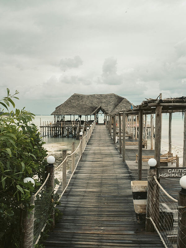 每日大赛在线观看为什么很多人卡住的问题终于有答案